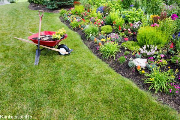 Invasiva främmande arter ska avlägsnas från gårdarna