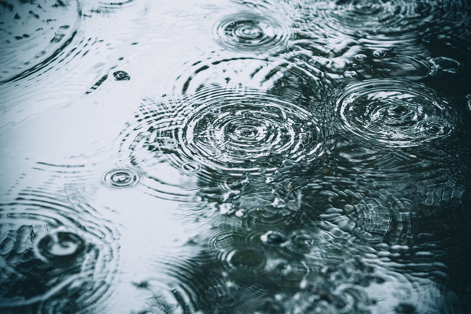 Om stormen kommer – så här kan du förbereda dig